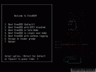 freebsd operating system screenshot 11 freebsd 11