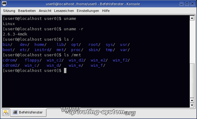 Screenshot: linux mandrake mandrake10 06