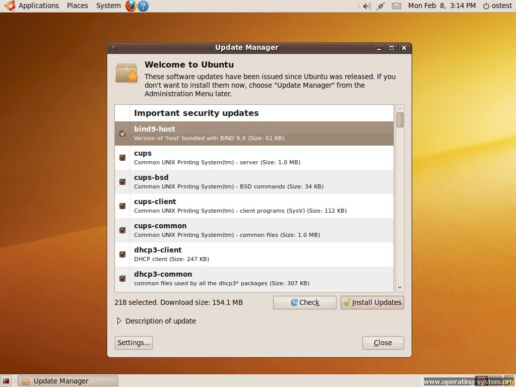 Screenshot: linux ubuntu ubuntu910 09